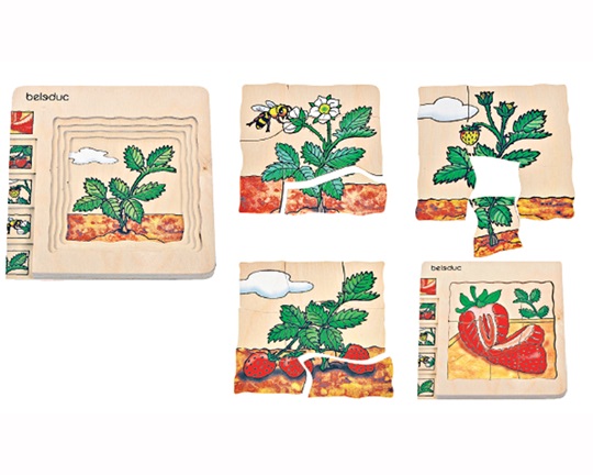 Ξύλινο Παζλ 5 Επιπέδων Η φράουλα