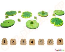 Πέταλα νούφαρου και βατραχάκια  Διαδρομές ισορροπίας