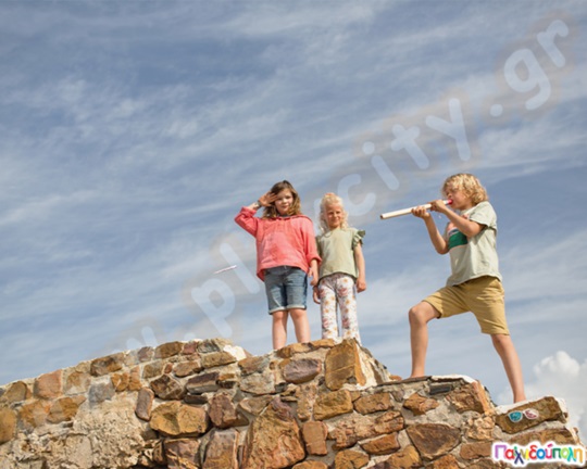 Φυσοκάλαμο με βελάκια