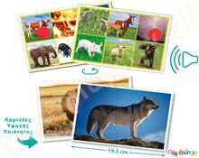 Εκπαιδευτικό Παιχνίδι 25 ήχοι ζώων και οι ονομασίες τους  Εκπαιδευτικά Παιχνίδια Ήχων