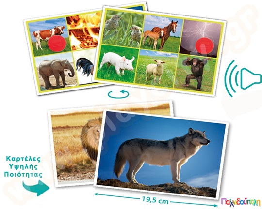 Εκπαιδευτικό Παιχνίδι 25 ήχοι ζώων και οι ονομασίες τους