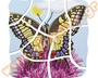 Παζλ 5 Επιπέδων Πεταλούδα