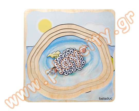 Παζλ 5 Επιπέδων Βάτραχος