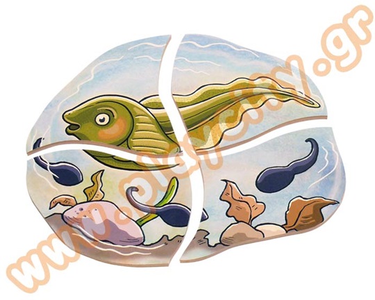 Παζλ 5 Επιπέδων Βάτραχος