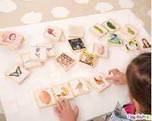 Ξύλινα Τουβλάκια Κύκλος της ζωής 24 τεμάχια  Εκπαιδευτικά Παιχνίδια Γνώσεων