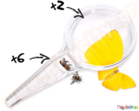 Μεγεθυντικός Φακός