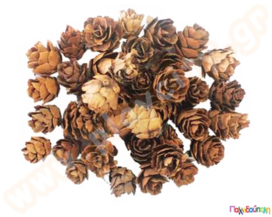 Αποξηραμένα κουκουνάρια 20 γρ