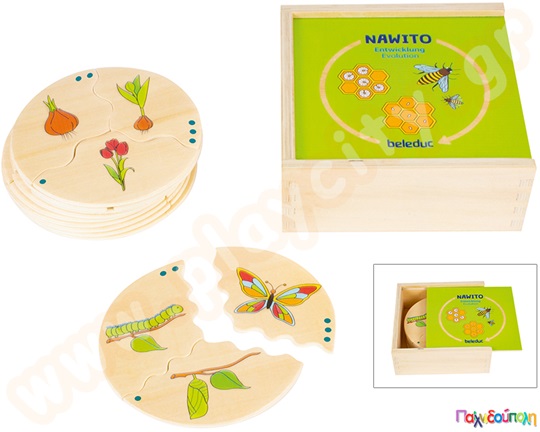 Σετ 10 παζλ εξέλιξη