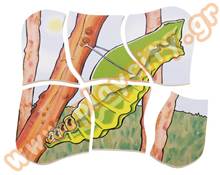 Παζλ 5 Επιπέδων Πεταλούδα  Ξύλινα Εκπαιδευτικά Παζλς Επιπέδων