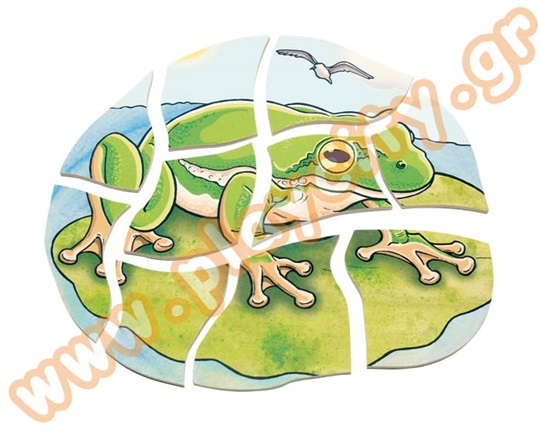 Παζλ 5 Επιπέδων Βάτραχος