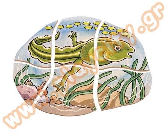 Παζλ 5 Επιπέδων Βάτραχος