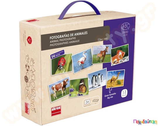 Εκπαιδευτικό Παιχνίδι 54 φωτογραφίες με διάφορες δραστηριότητες