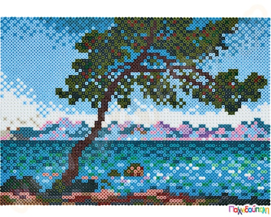 Σετ τέχνης πίνακας Κλοντ Μονέ 10000 χάντρες 5 mm