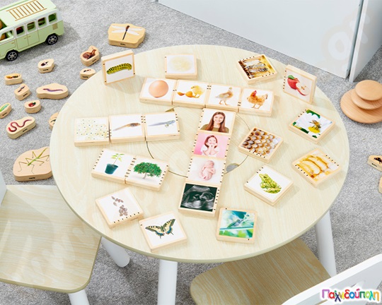 Ξύλινα Τουβλάκια Κύκλος της ζωής 24 τεμάχια