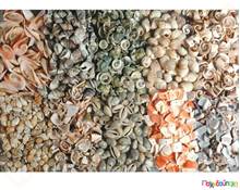 Χάντρες σαλιγκάρια και κοχύλια Σετ 10 διαφ.είδη 50 γρ./είδος  Διακοσμητικές Χάντρες - Κουμπιά