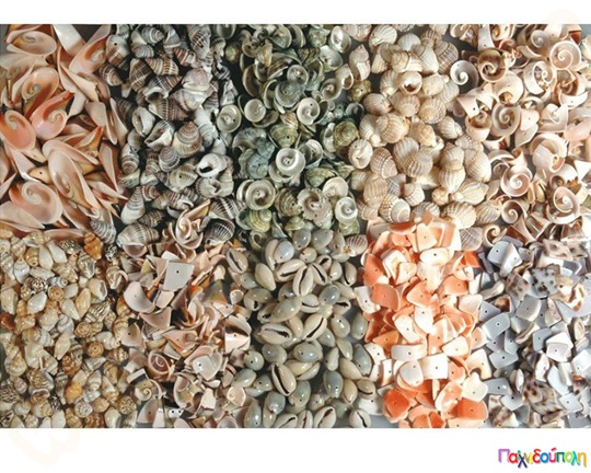 Χάντρες σαλιγκάρια και κοχύλια Σετ 10 διαφ.είδη 50 γρ./είδος