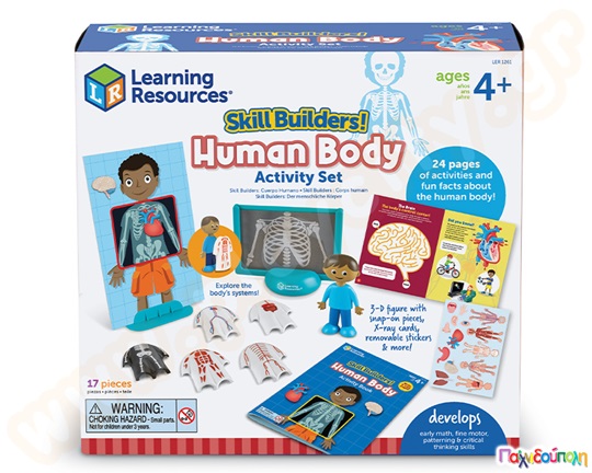 Εκπαιδευτικό παιχνίδι STEM Ανθρώπινο σώμα σετ δραστηριοτήτων Skill Builders!